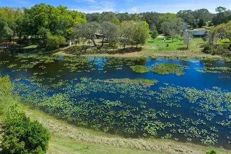 9923 E Saint Regis Court Inverness FL 34450