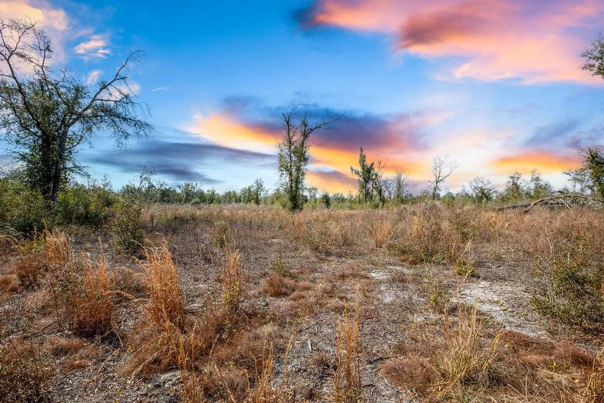 Tbd Walker Place Live Oak FL 32060