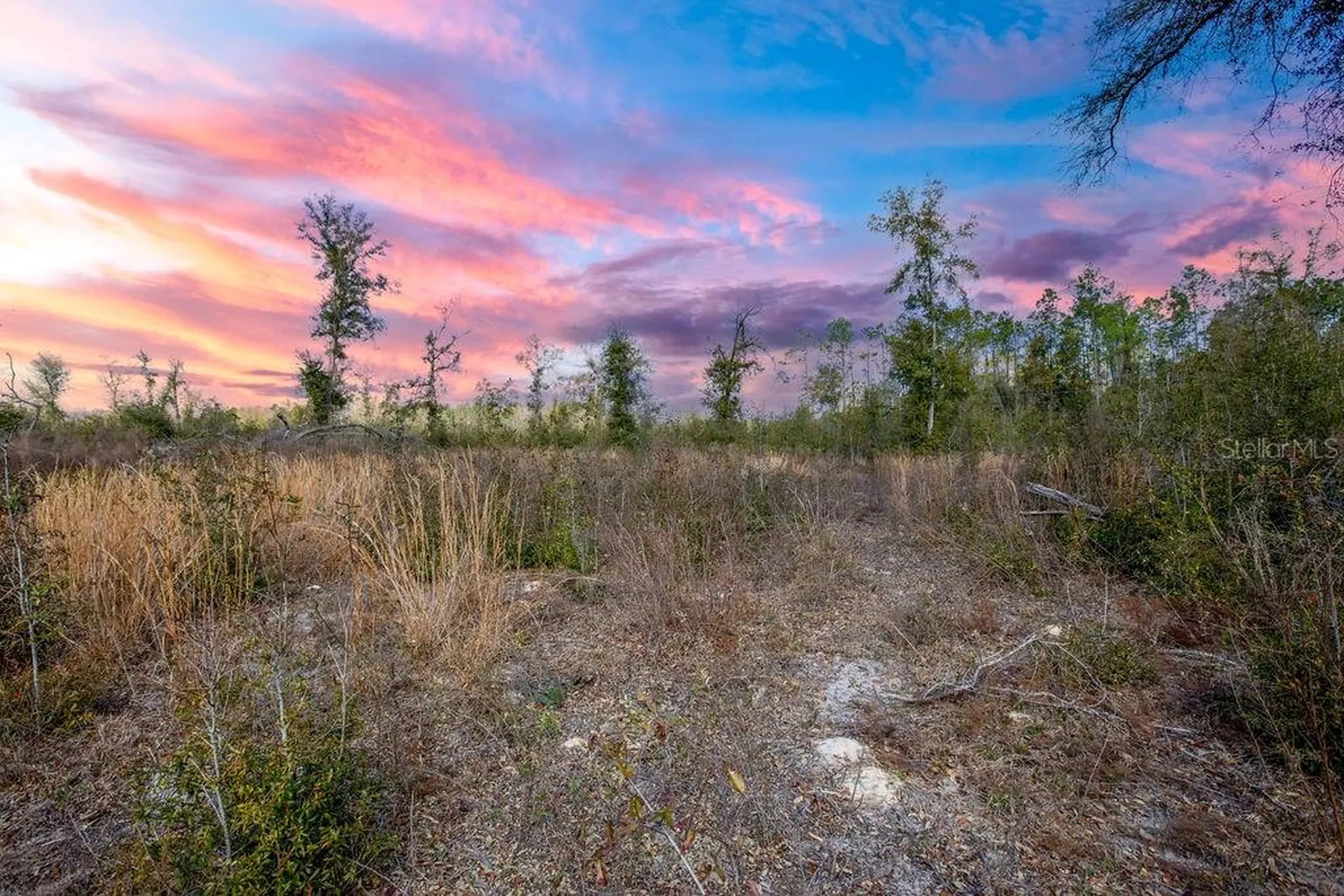 Tbd Walker Place Live Oak FL 32060