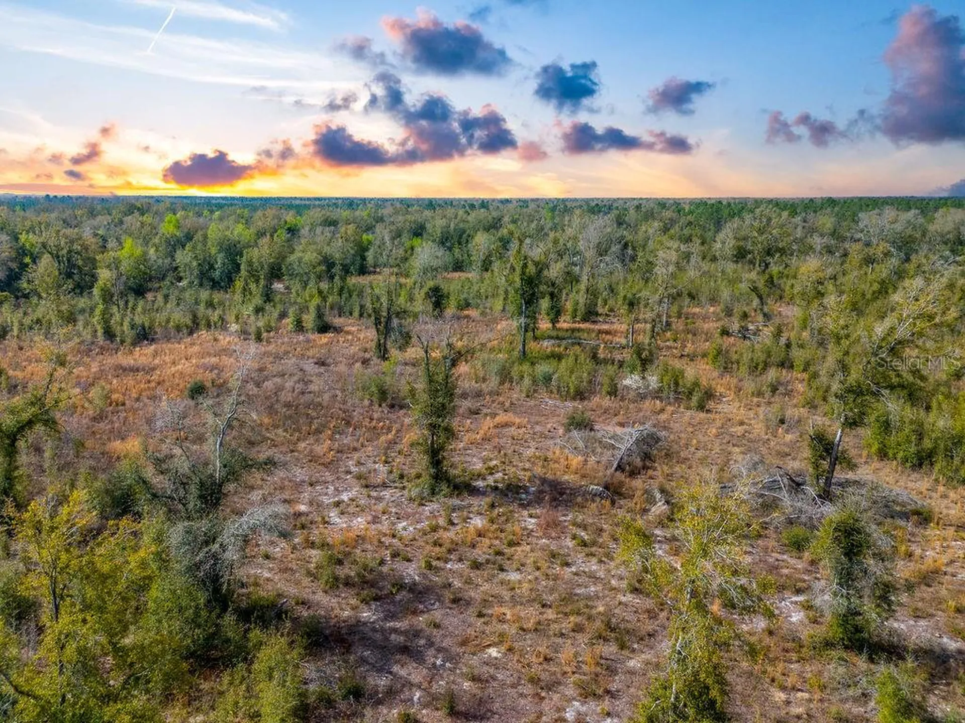 Tbd Walker Place Live Oak FL 32060