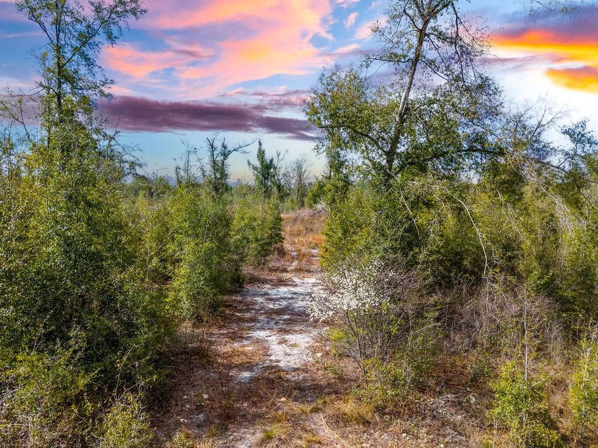 Tbd Walker Place Live Oak FL 32060