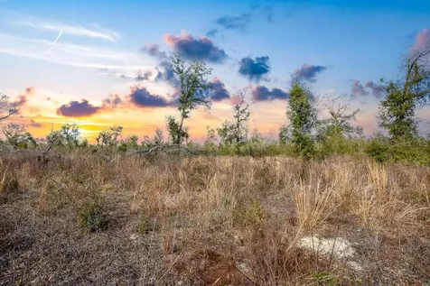 Tbd Walker Place Live Oak FL 32060