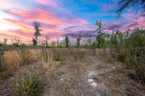 Tbd Walker Place Live Oak FL 32060