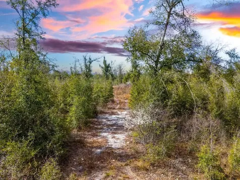 Tbd Walker Place Live Oak FL 32060