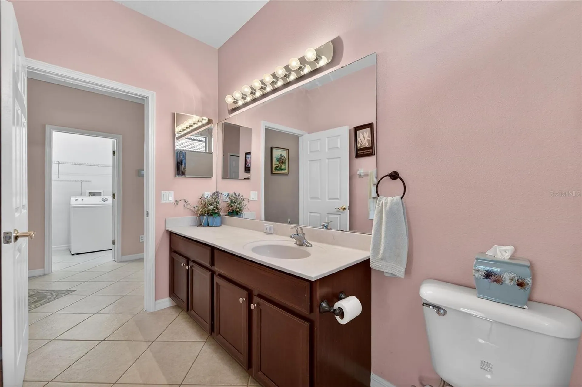 144 Silver Falls Drive Apollo Beach FL 33572