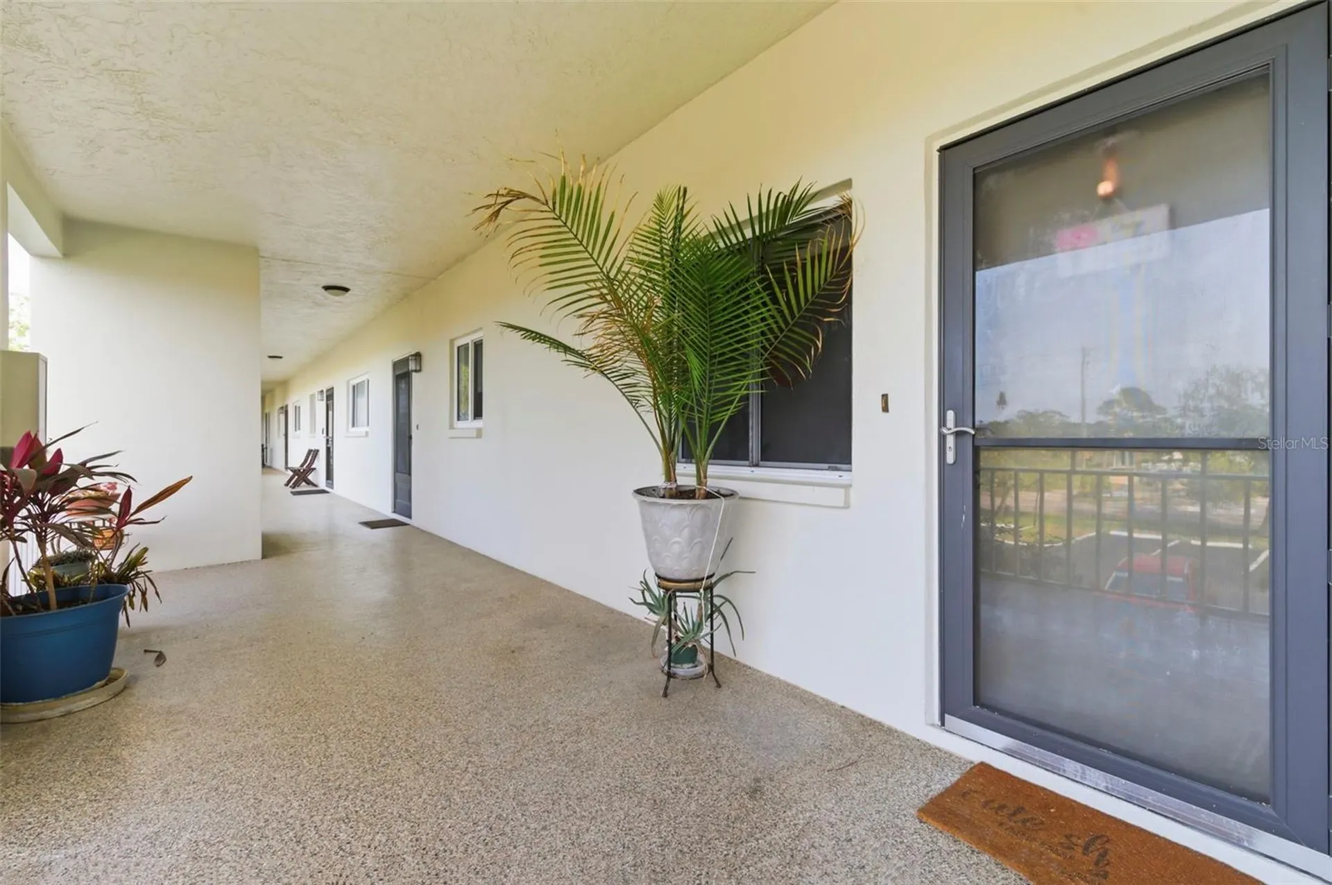 4595 Chancellor Street NE St Petersburg FL 33703