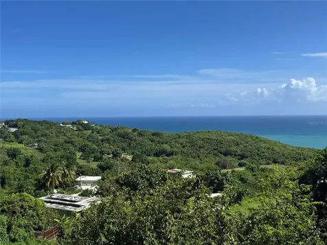El Cocal Country Club Bo. Camino Nuevo Yabucoa PR 00767