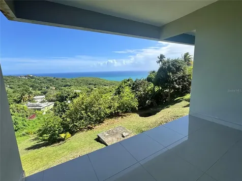 El Cocal Country Club Bo. Camino Nuevo Yabucoa PR 00767