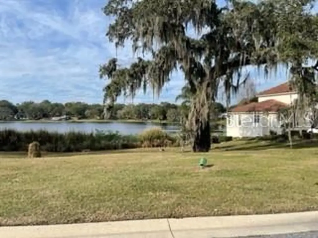 519 W Blue Water Edge Drive Eustis FL 32736