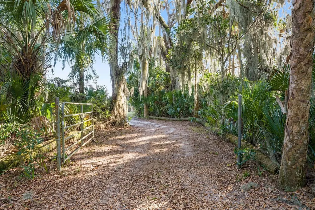 38805 Emeralda Island Road Leesburg FL 34788