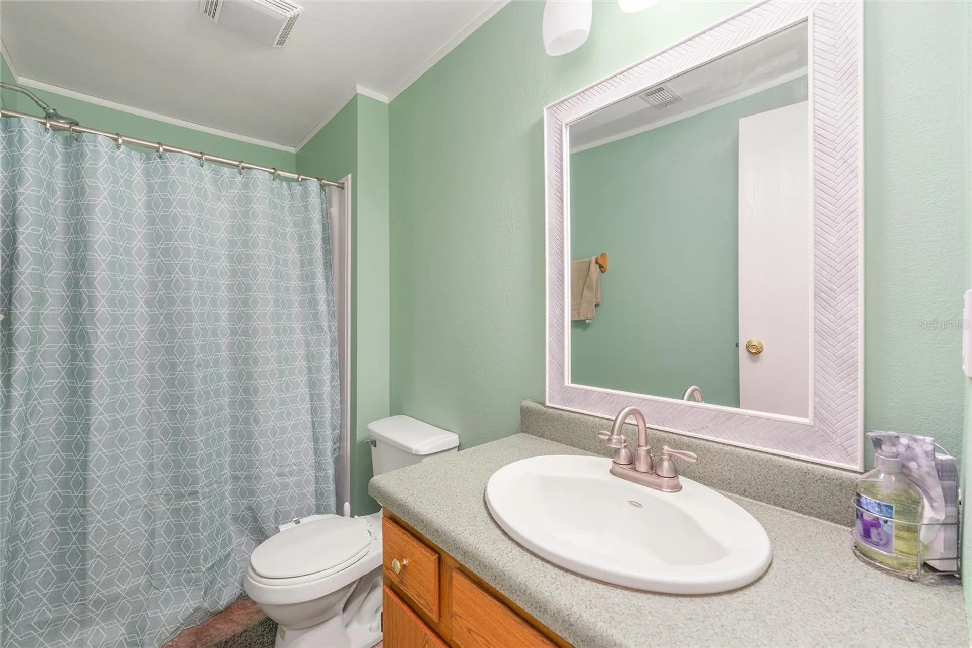 38805 Emeralda Island Road Leesburg FL 34788