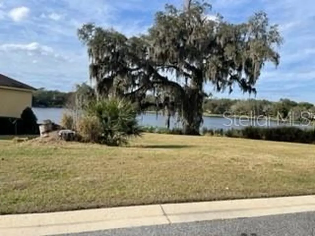 421 W Blue Water Edge Drive Eustis FL 32736