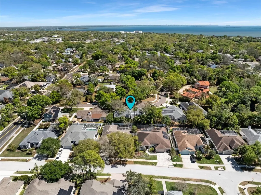 105 Park Street Safety Harbor FL 34695