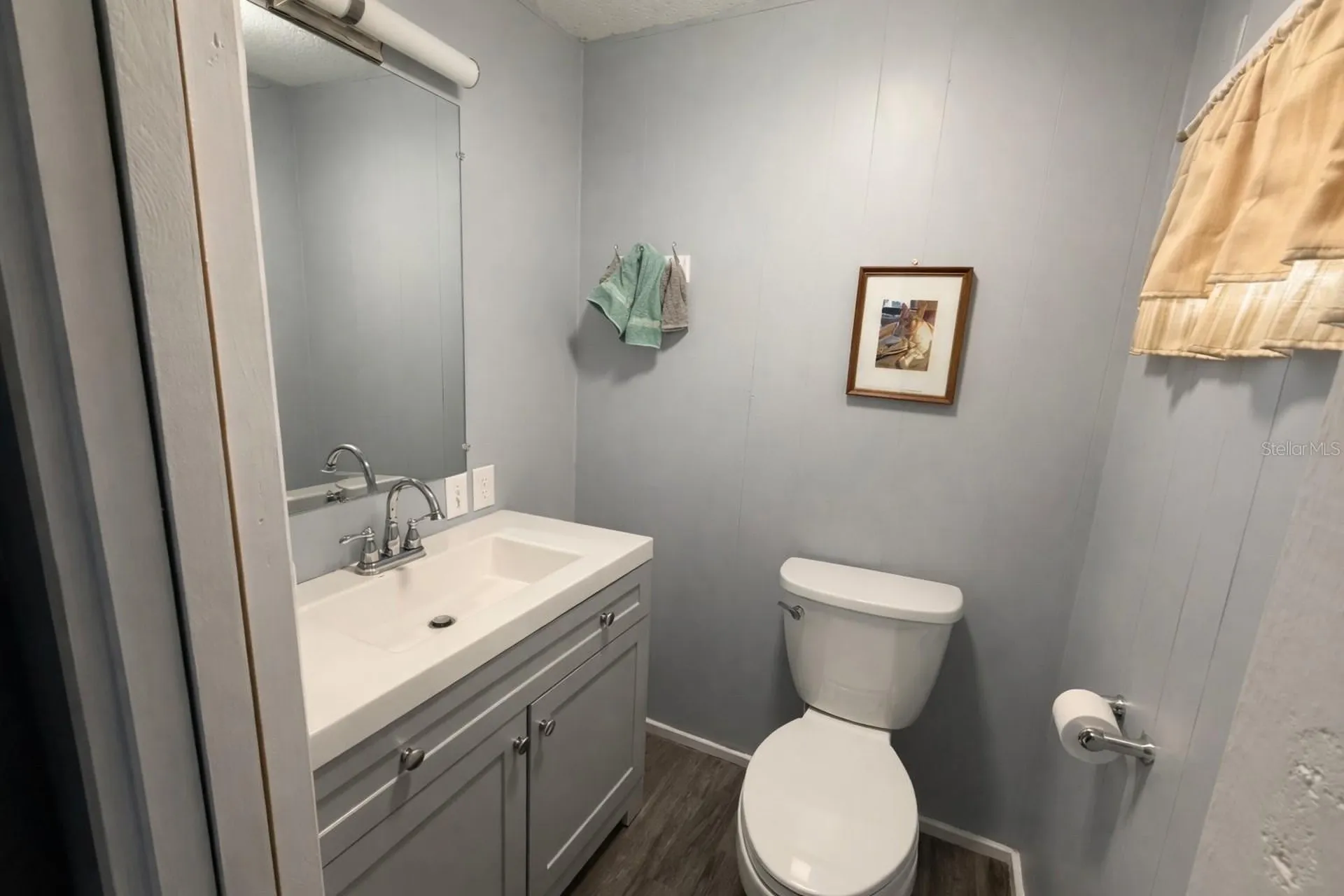 1023 Capella Drive Tavares FL 32778