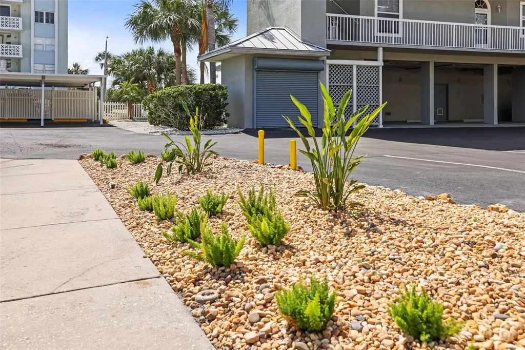 5 Island Park Place Dunedin FL 34698
