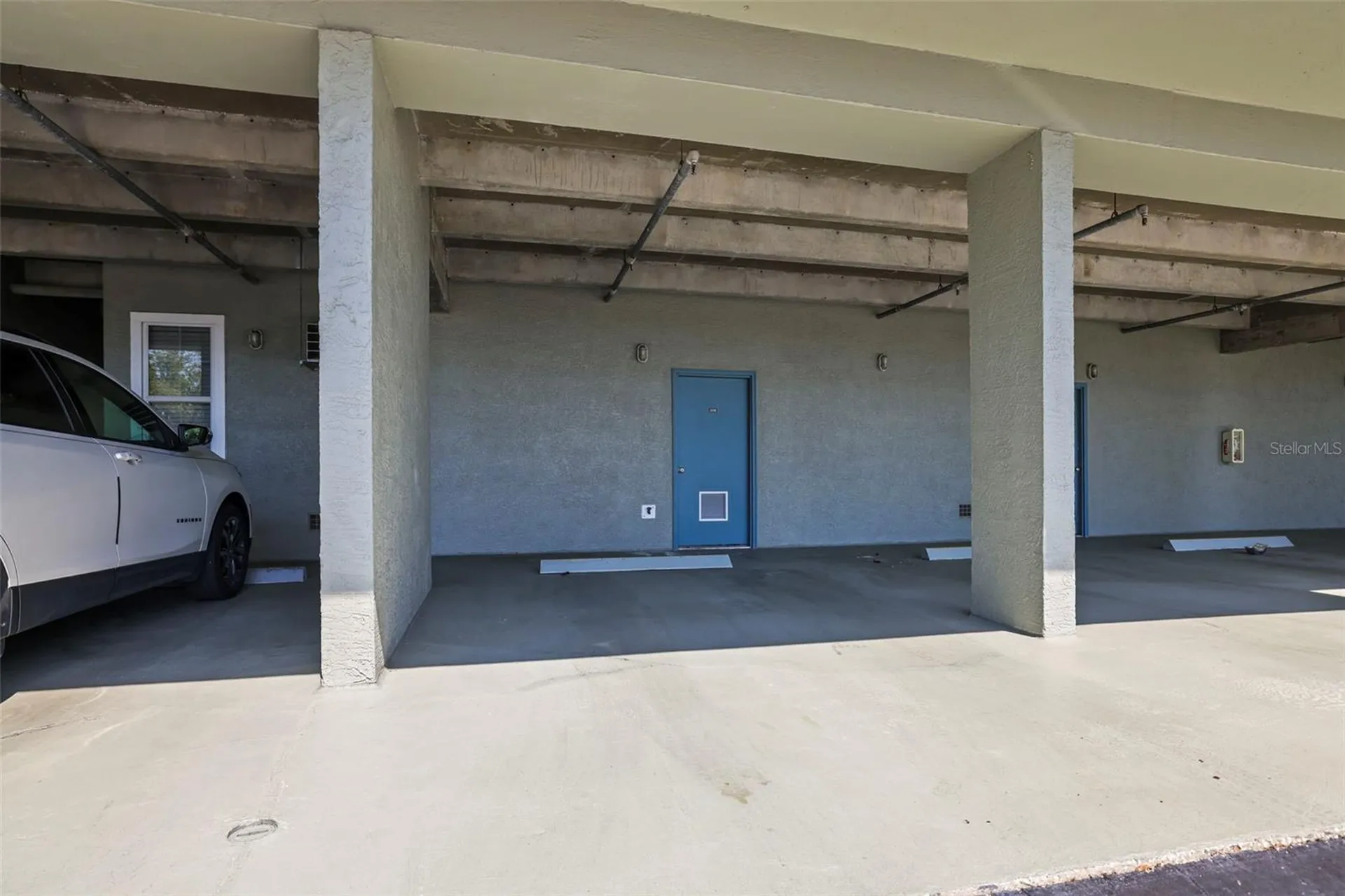 5 Island Park Place Dunedin FL 34698
