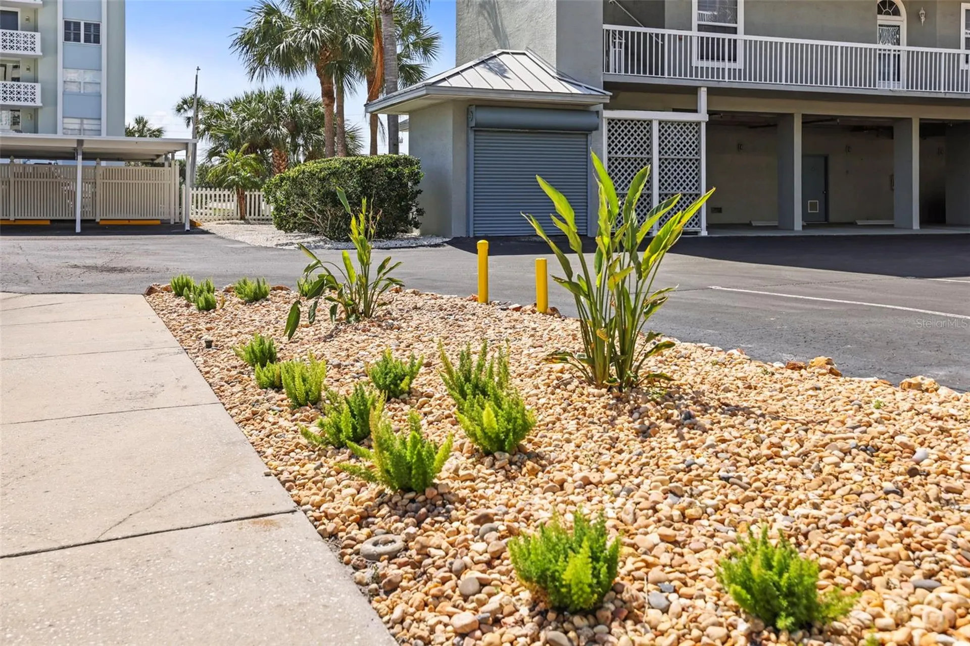 5 Island Park Place Dunedin FL 34698