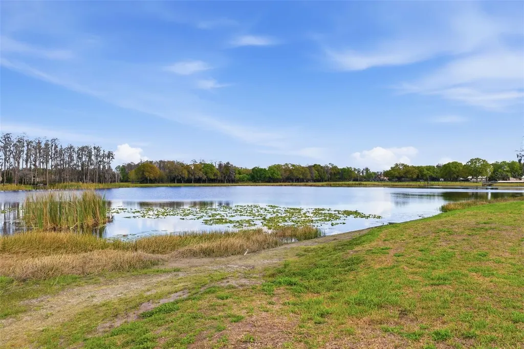 1312 Brooke View Drive Odessa FL 33556