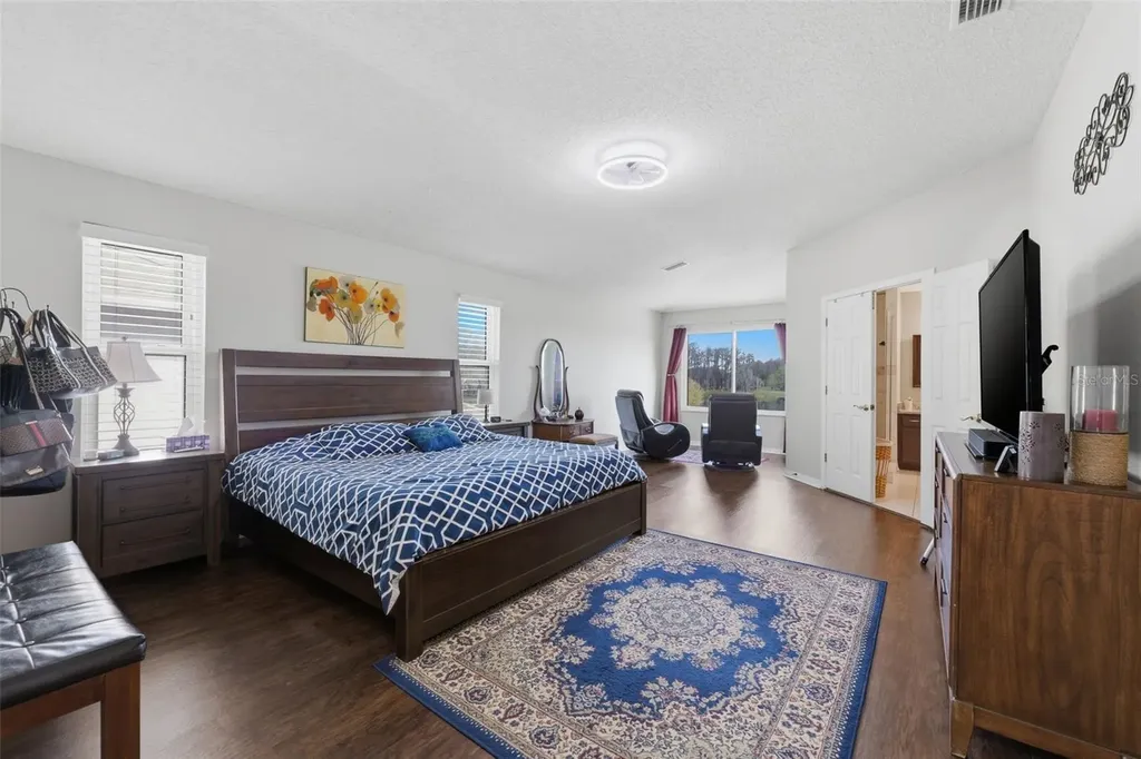 1312 Brooke View Drive Odessa FL 33556