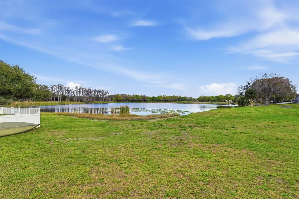 1312 Brooke View Drive Odessa FL 33556