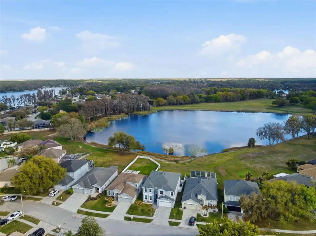 1312 Brooke View Drive Odessa FL 33556