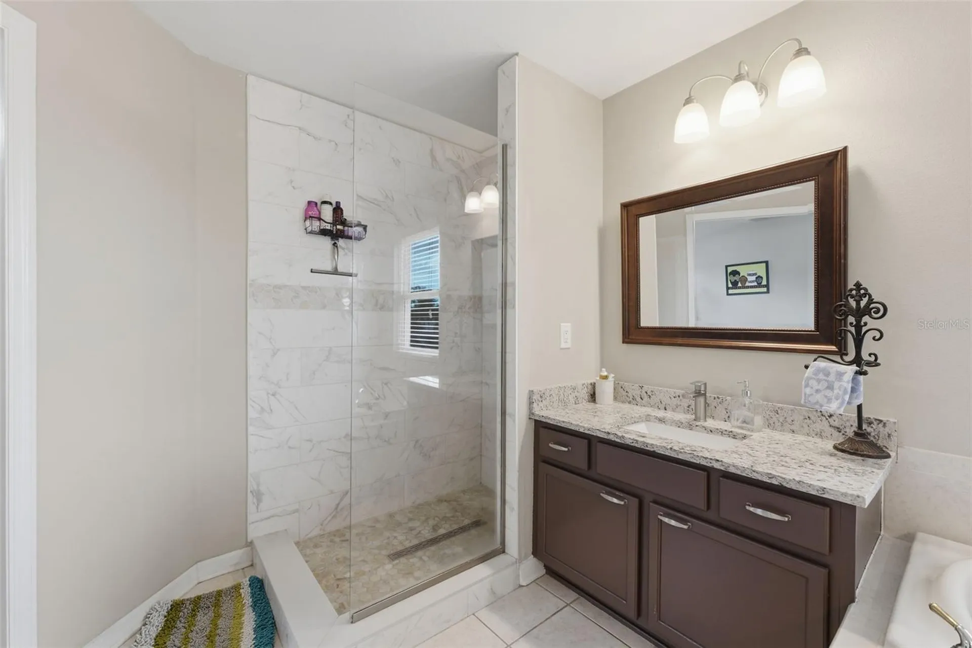 1312 Brooke View Drive Odessa FL 33556