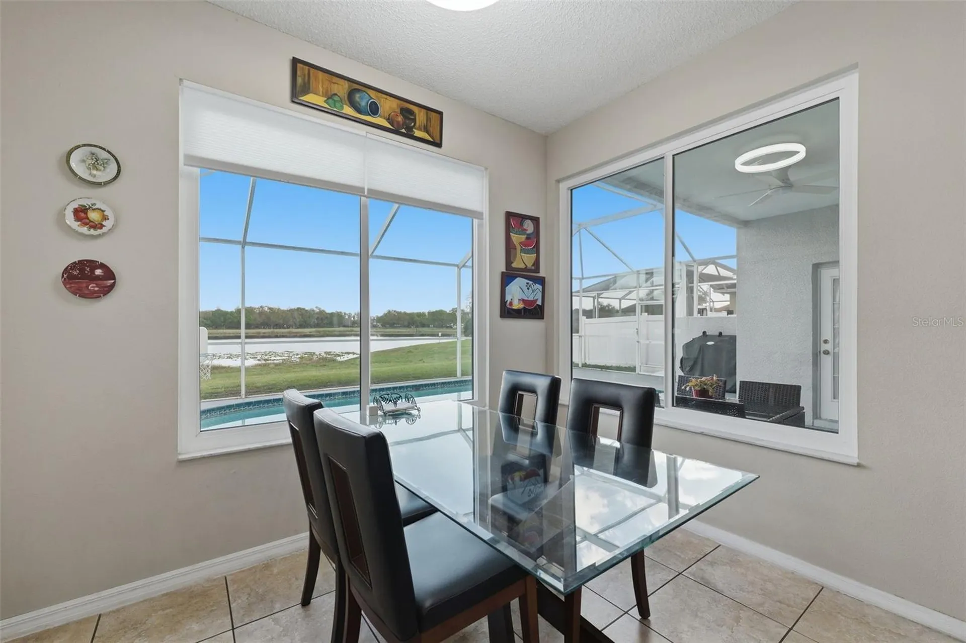 1312 Brooke View Drive Odessa FL 33556