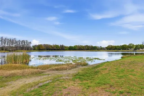1312 Brooke View Drive Odessa FL 33556