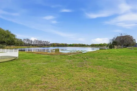 1312 Brooke View Drive Odessa FL 33556