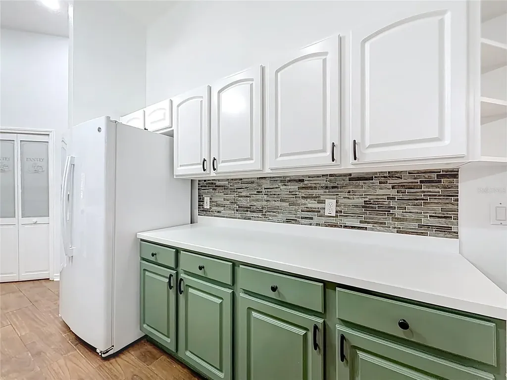 507 Dowling Circle Lady Lake FL 32159