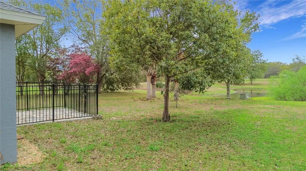 507 Dowling Circle Lady Lake FL 32159