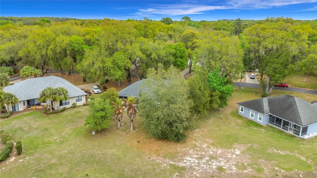 507 Dowling Circle Lady Lake FL 32159