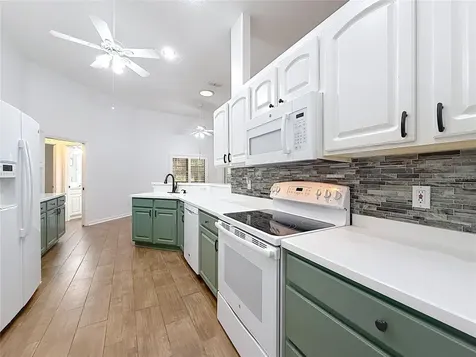 507 Dowling Circle Lady Lake FL 32159