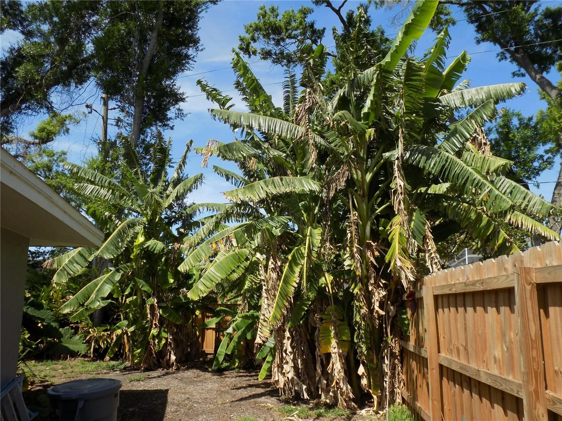 2168 Kent Avenue Clearwater FL 33764