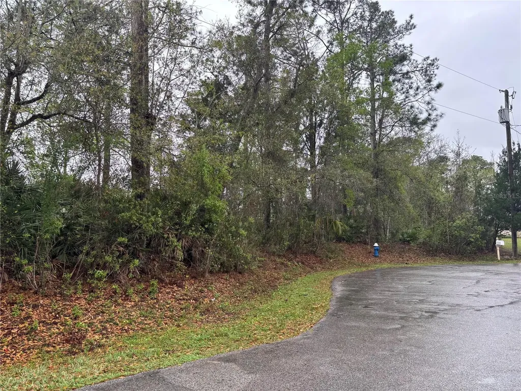 5 Woodchuck Place Palm Coast FL 32164