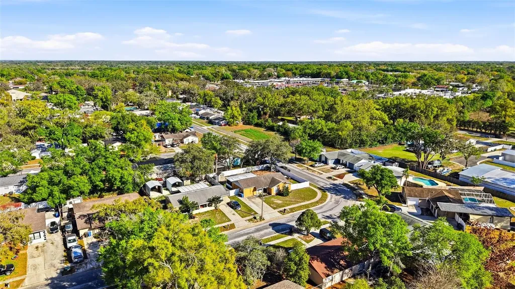 1301 Vinemont Drive Brandon FL 33510