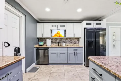 1301 Vinemont Drive Brandon FL 33510
