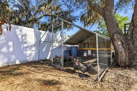 1301 Vinemont Drive Brandon FL 33510