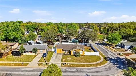 1301 Vinemont Drive Brandon FL 33510