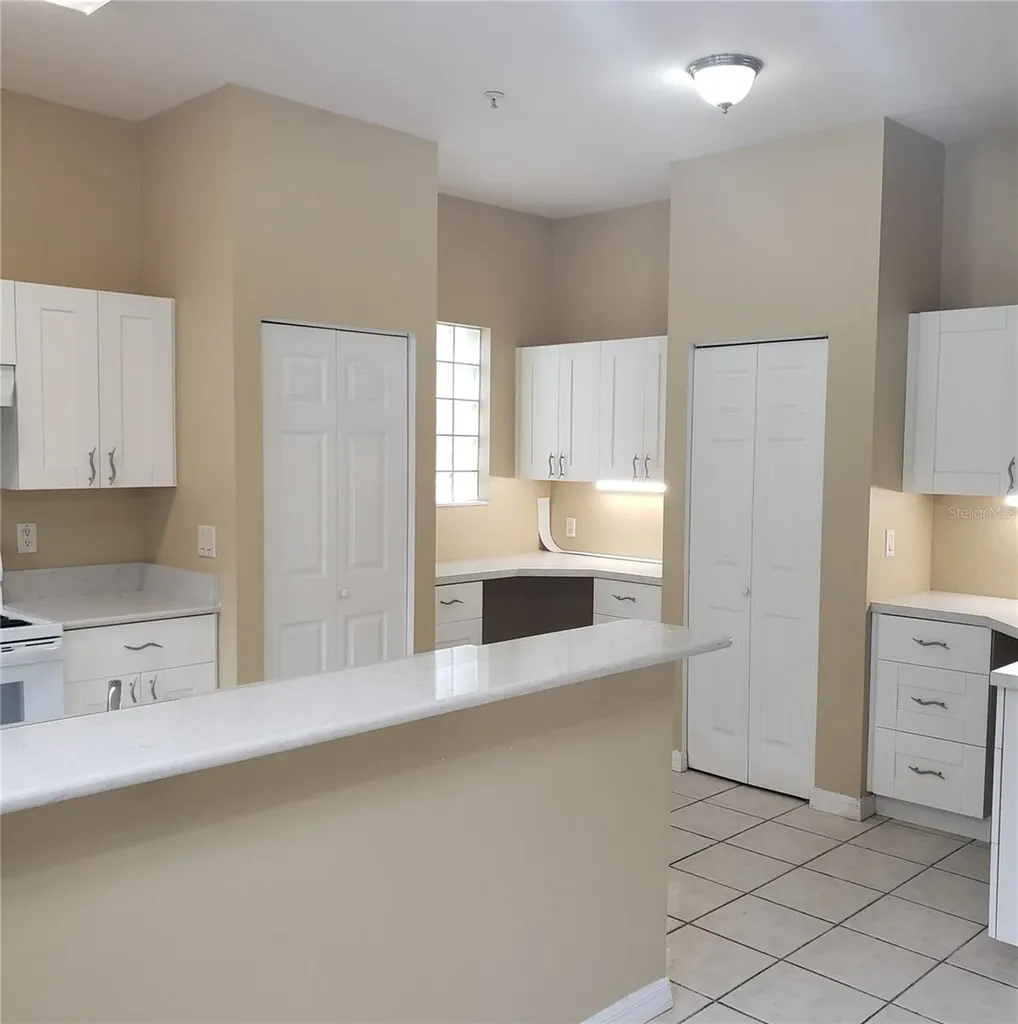 5016 Sunridge Palms Drive Tampa FL 33617