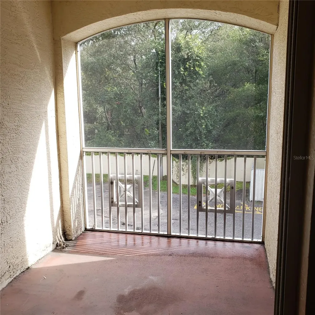 5016 Sunridge Palms Drive Tampa FL 33617