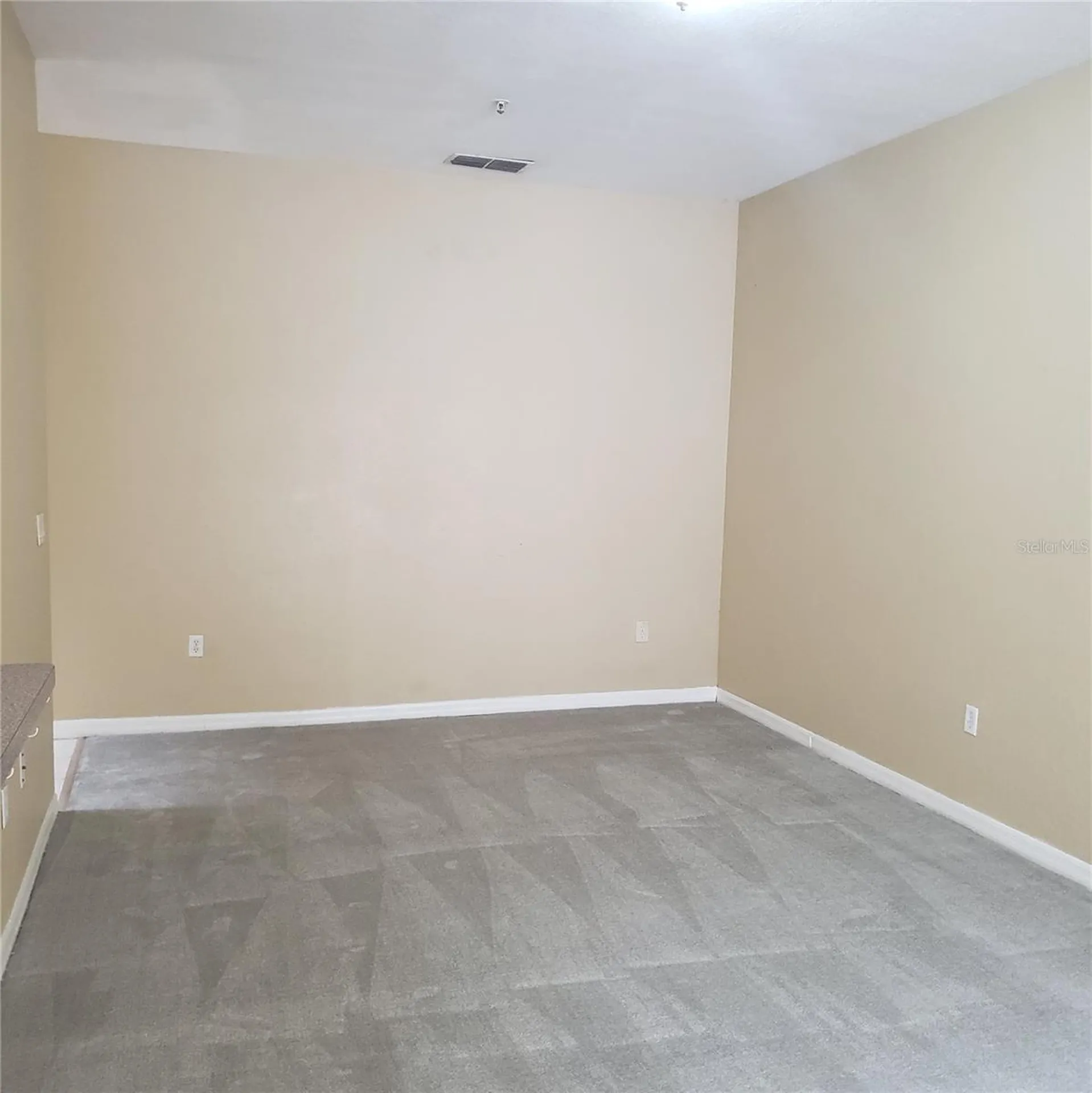 5016 Sunridge Palms Drive Tampa FL 33617
