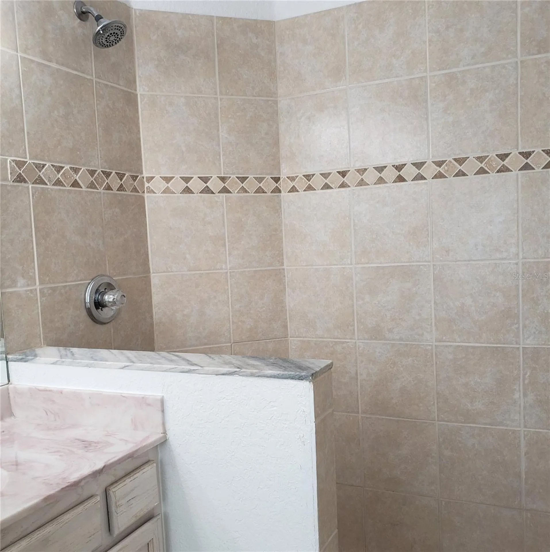 5016 Sunridge Palms Drive Tampa FL 33617