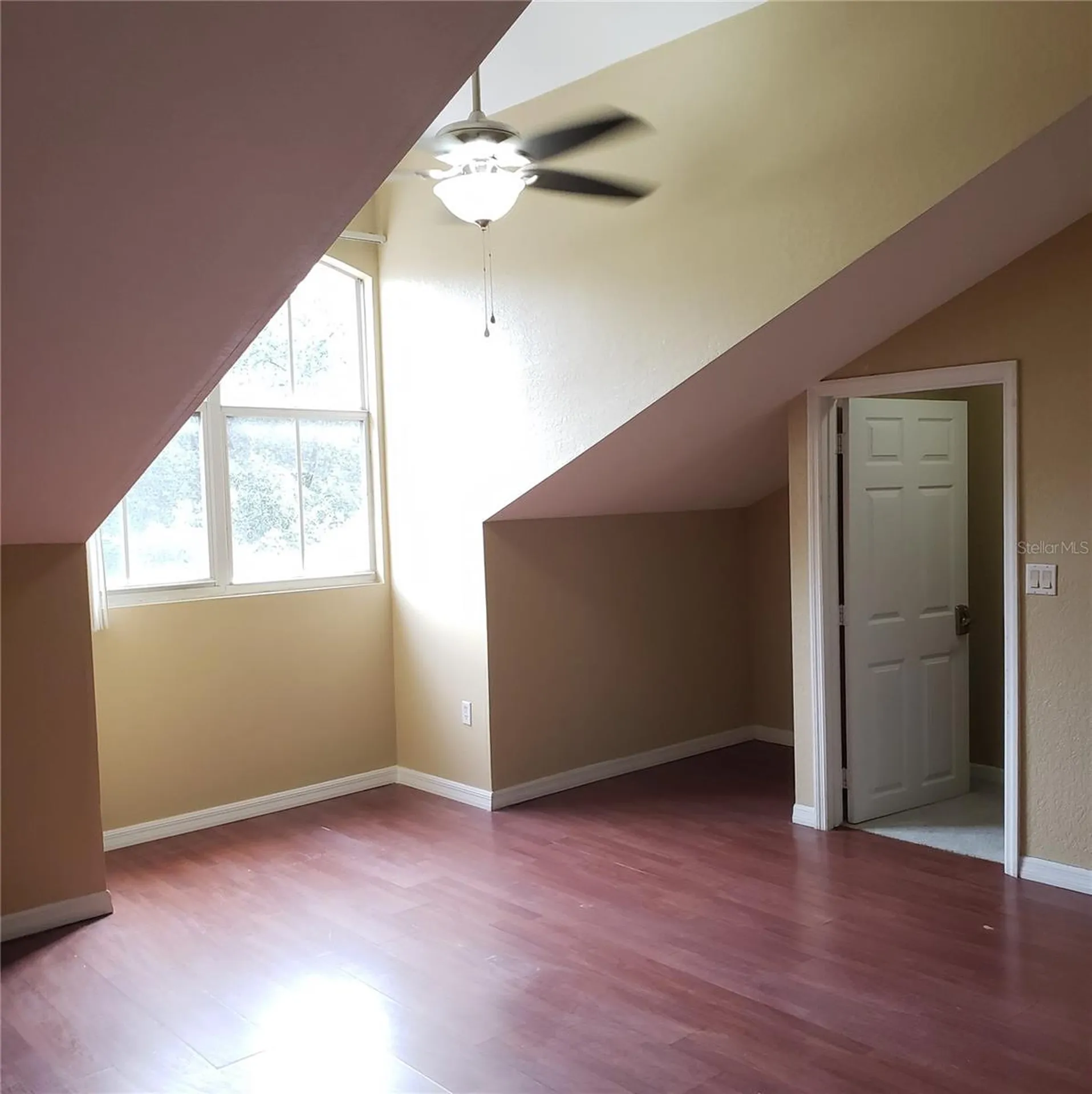 5016 Sunridge Palms Drive Tampa FL 33617