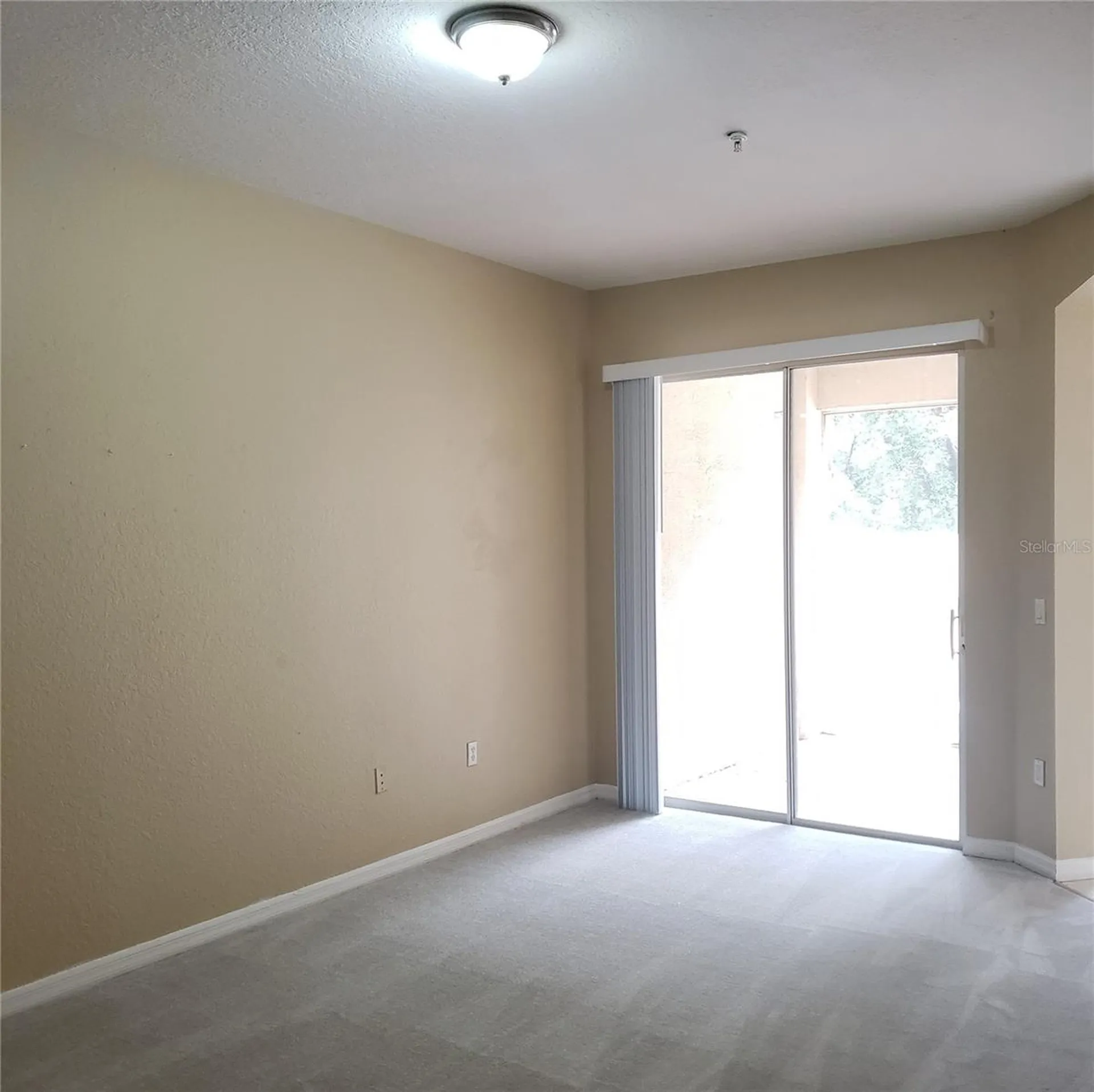 5016 Sunridge Palms Drive Tampa FL 33617