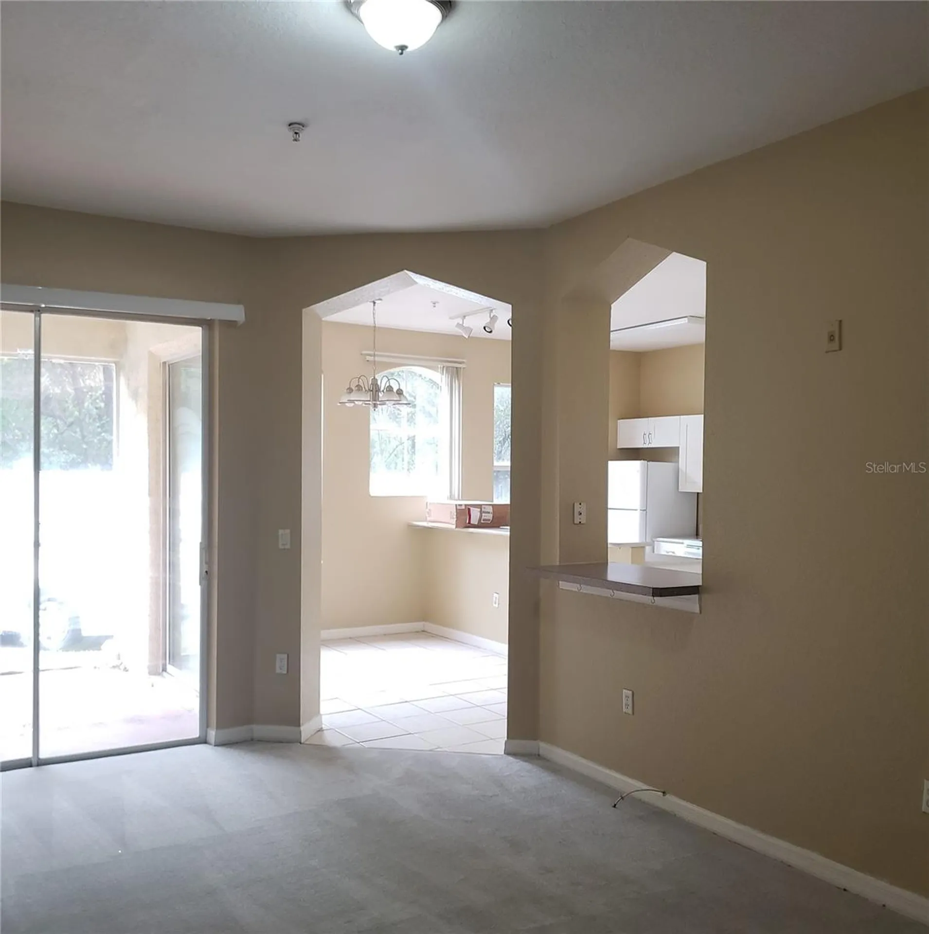 5016 Sunridge Palms Drive Tampa FL 33617