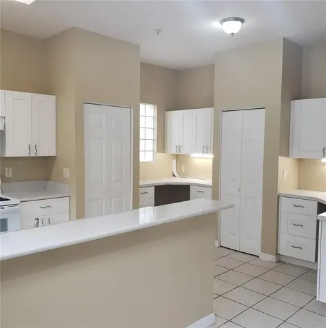 5016 Sunridge Palms Drive Tampa FL 33617
