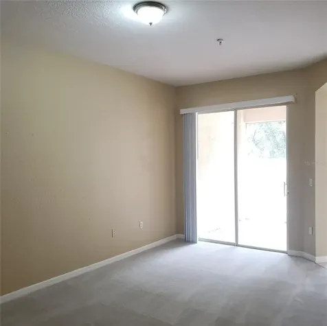 5016 Sunridge Palms Drive Tampa FL 33617