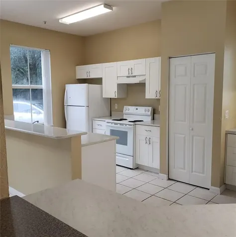 5016 Sunridge Palms Drive Tampa FL 33617