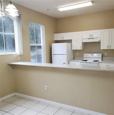 5016 Sunridge Palms Drive Tampa FL 33617